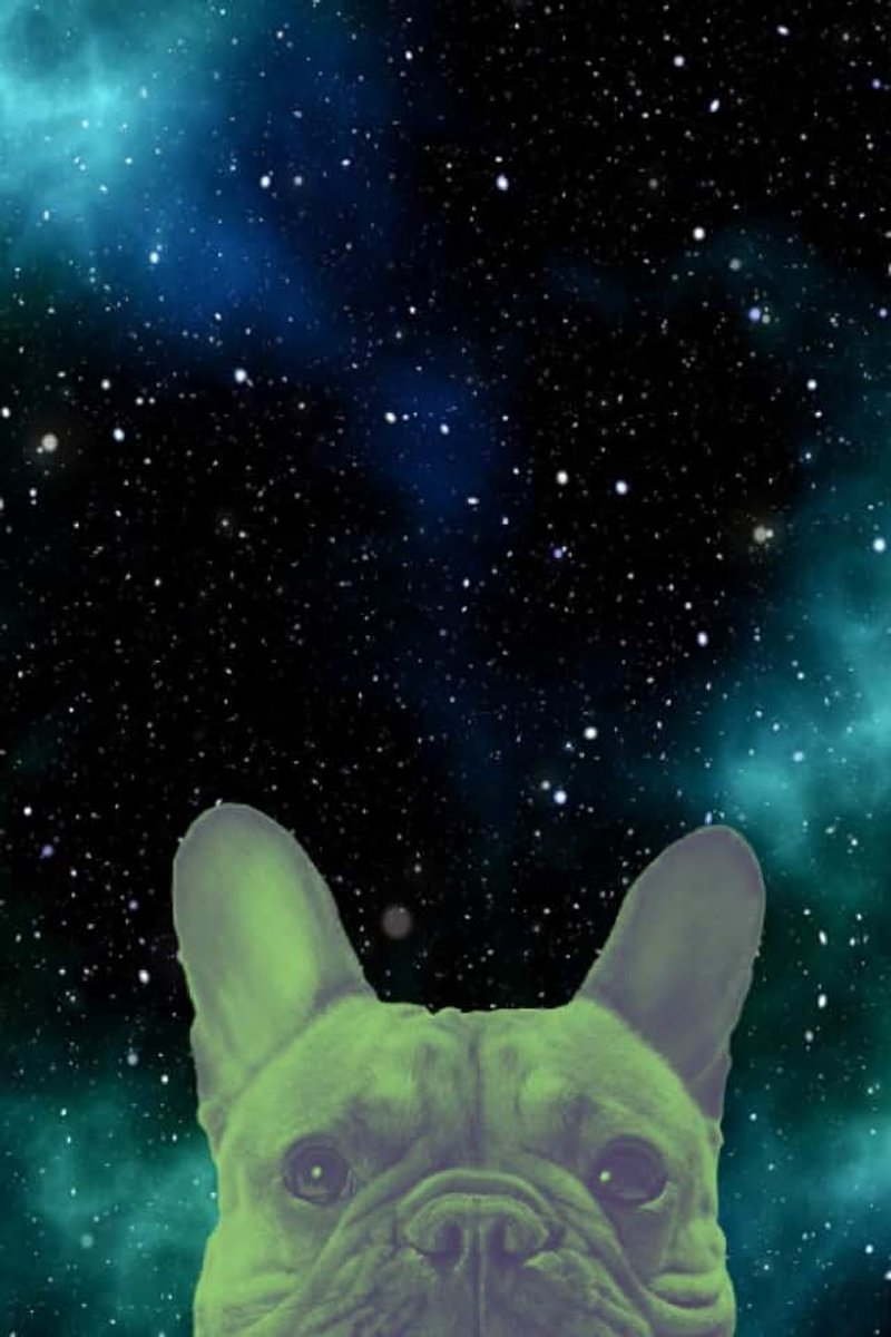 Frenchie In Space