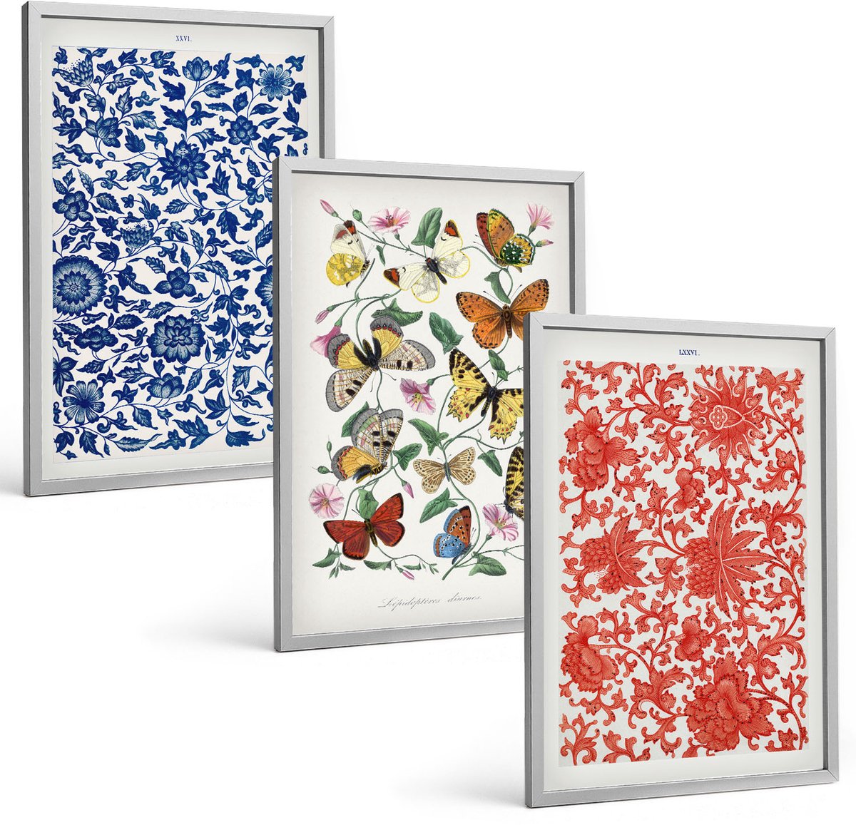 Coloray 3-Delige Schilderij Set - Vintage Posters Met Bloemen, Vlinders En Ornamenten - 40 x 60 cm - Stijlvolle Muurdecoratie - Kantoor - Interieur Decoratie