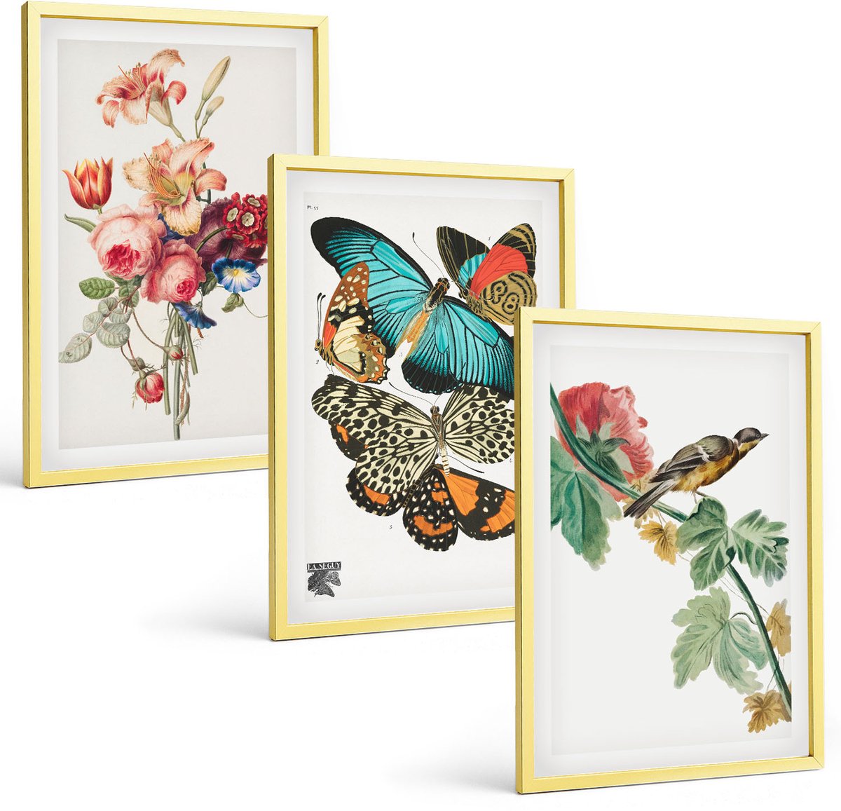Coloray 3-Delige Schilderij Set - Bloemen, Vlinders En Vogels In Pasteltinten - 40 x 40 cm En 40 x 60 cm - Muurdecoratie - Decoratieve Schilderijen - Wohnzimmer - Woonkamer Decoratie