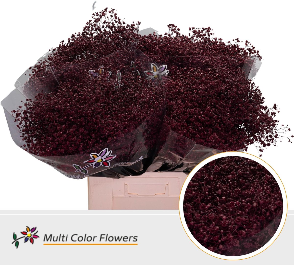 25x Gipskruid xlence bordeaux 70cm