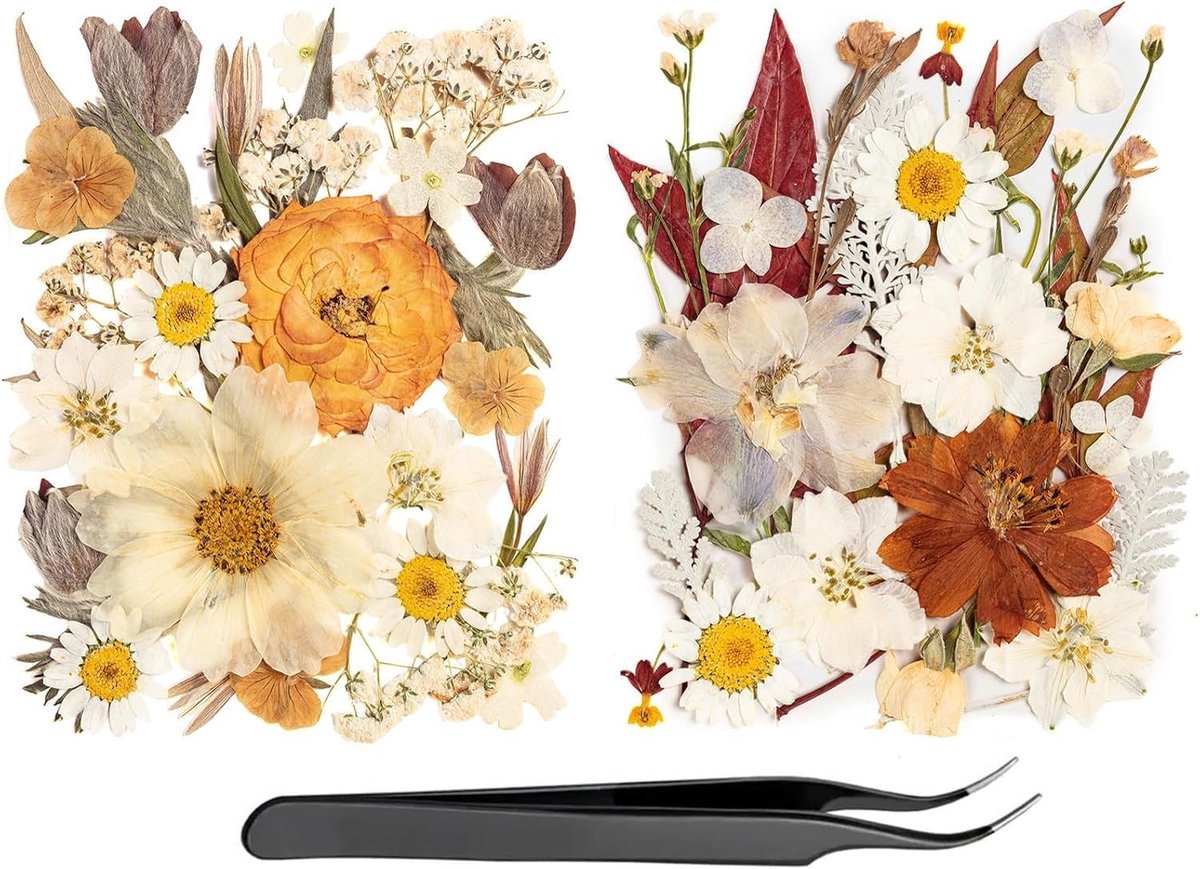 50 Stuks Gedroogde Bloemen voor DIY Creaties, Natuurlijke Herfst Bloemblaadjes, Perfect voor Resin, Kaarsen en Scrapbooking