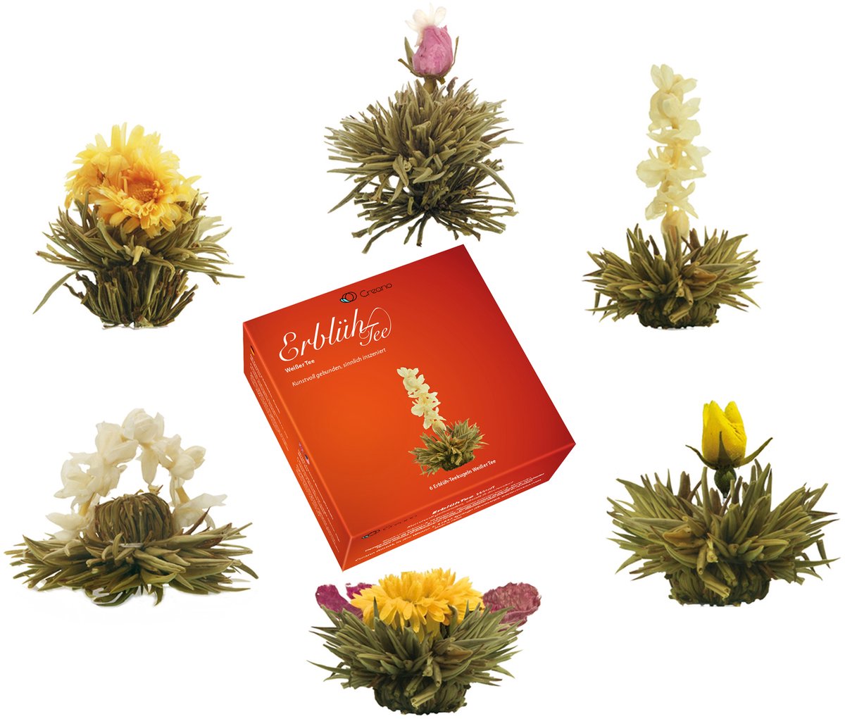 "ErblühTee" in luxe geschenkdoos | Witte thee (6 verschillende soorten)
