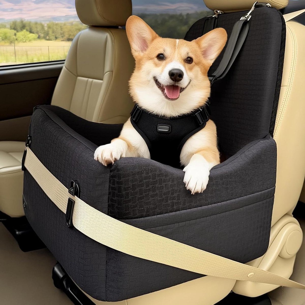 Hond Autostoel - Reisstoel Hond - Veilig Reizen - Verhoogd Zitvlak - 51 x 48 x 60 cm - Zwart