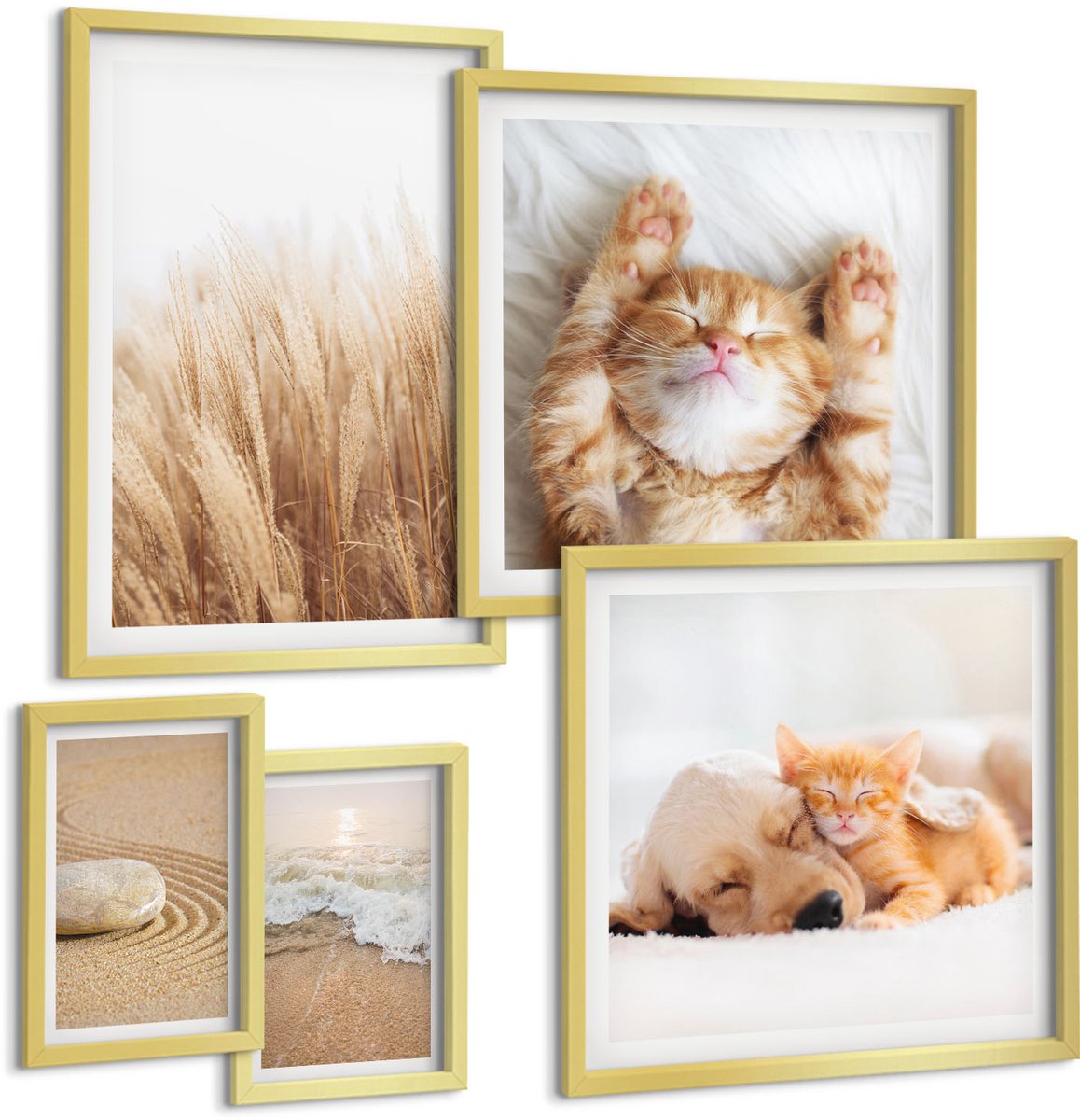 Coloray 5-Delige Schilderij Set - Schattige Dieren En Natuurlijke Landschappen In Een Ingetogen Esthetiek. - 50 x 50 cm, 20 x 30 cm En 40 x 60 cm - Wanddecoratie - Schilderijen Set - Kantoor - Stijlvolle Muurdecoratie