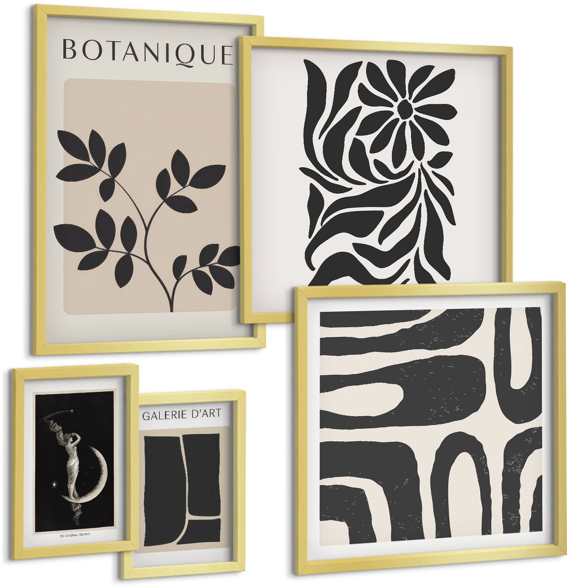 Coloray 5-Delige Schilderij Set - Moderne Plantmotieven In Een Minimalistische Stijl - 50 x 50 cm, 20 x 30 cm En 40 x 60 cm - Stijlvolle Muurdecoratie - Kantoor - Woonkamer Decoratie