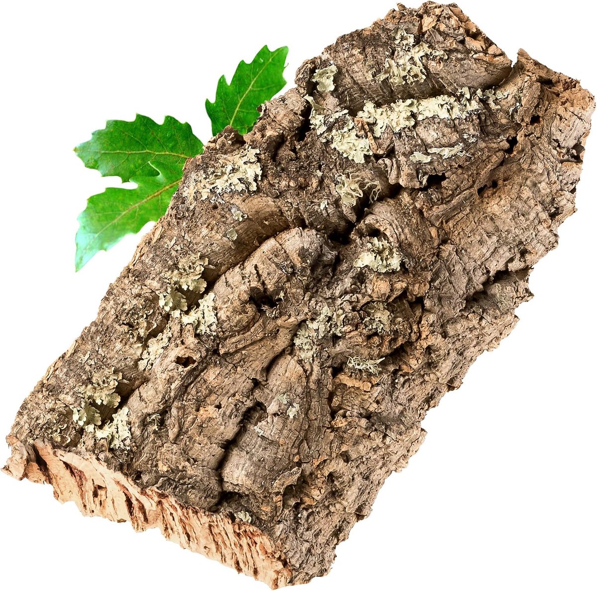 Kurkrinde: kurkstuk 15 x 30 cm (natuurkurk, decoratieve kurk)