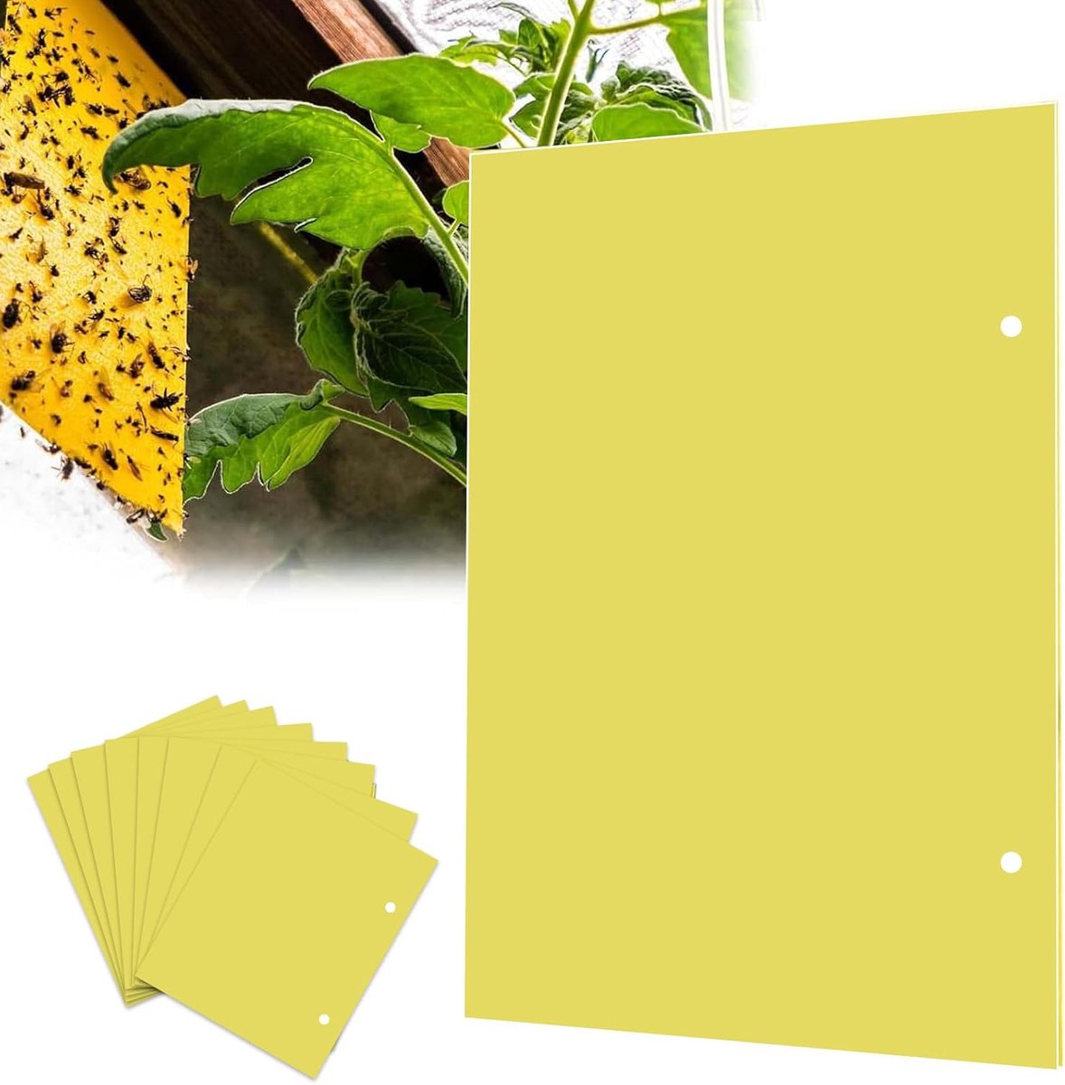 Vallen voor insecten, dubbelzijdige stickers, geel, voor witte vliegen, fruitvliegen, bladluizen, bladminer (inclusief zakjes)