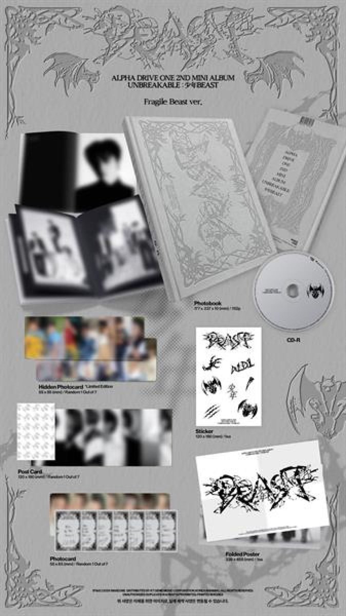 Unbreakable: 少年 Beast