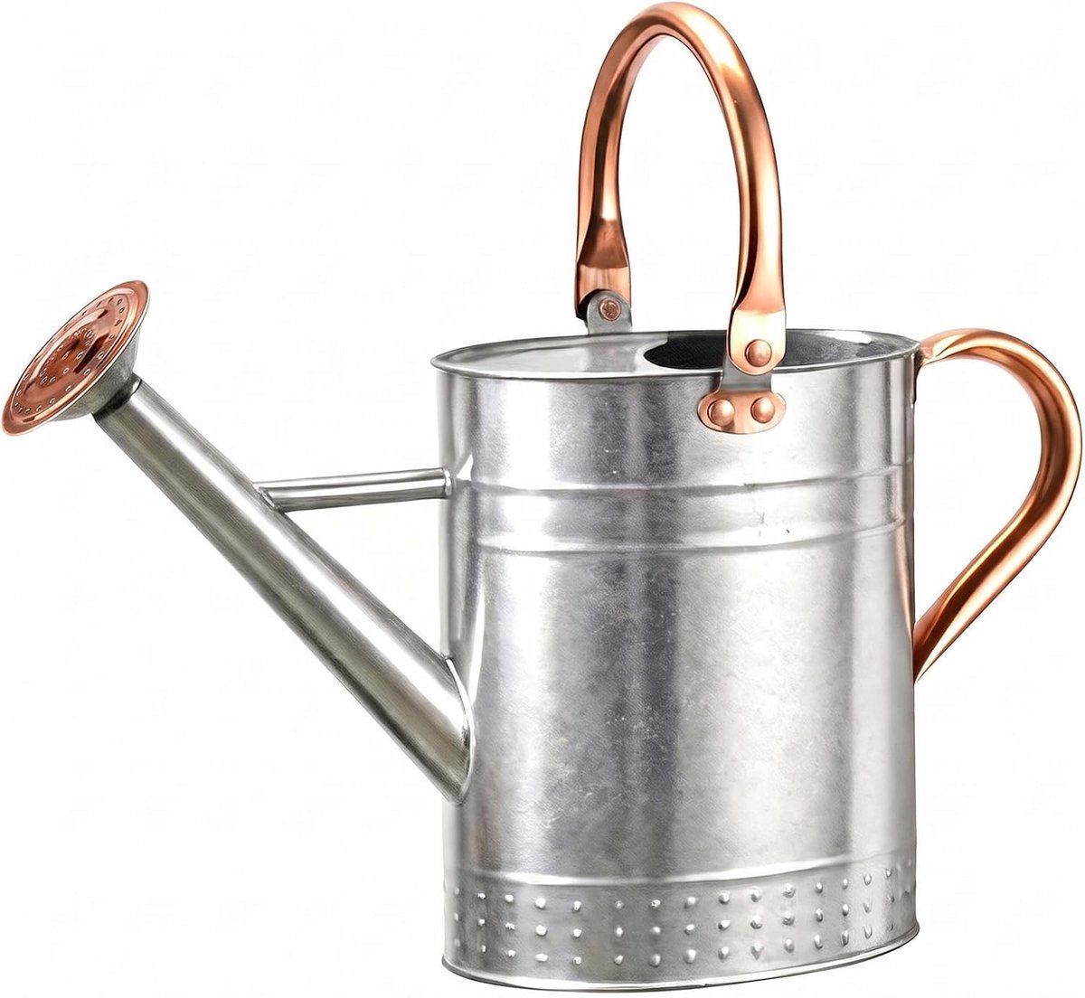 Waterkan voor Binnenshuisplanten 3,8L Rvs Waterkan met Lange Snuit voor Watergeven van Binnenshuis- en Buitenplanten in de Tuin (Zilver)