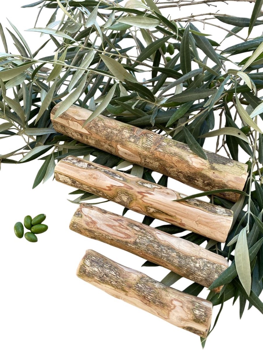Dog toy for chewing, bite toy, stick – Olive wood – PetQuality (medium) - ShopVlot