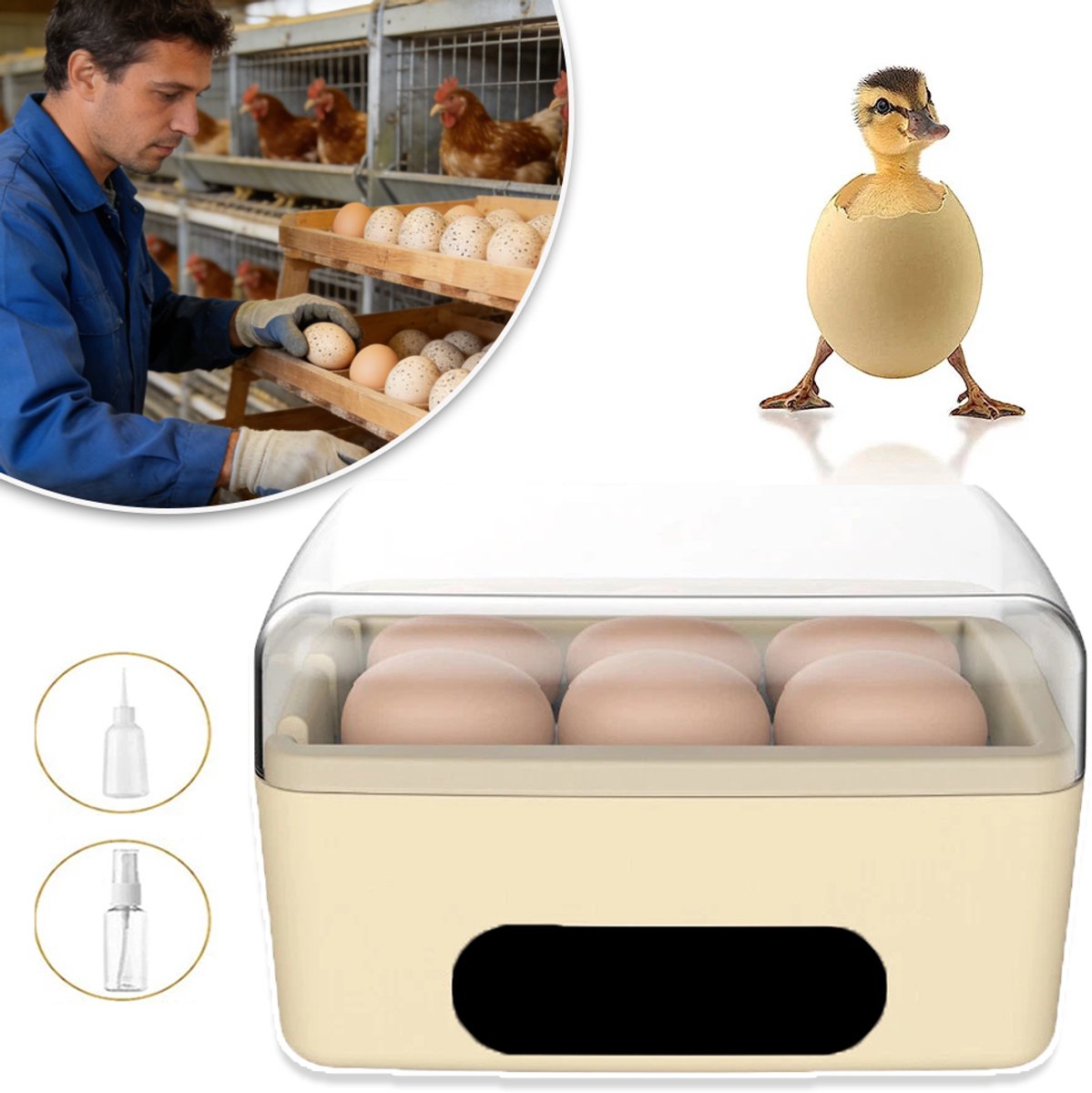 Broedmachine 6 Eieren Automatisch - Ei Incubator met Automatische Eierdraaifunctie Transparant Deksel - Onafhankelijke Verwarmingskamer Eierlamp - Perfecte Sinterklaas- & Kerstcadeau voor Beginners