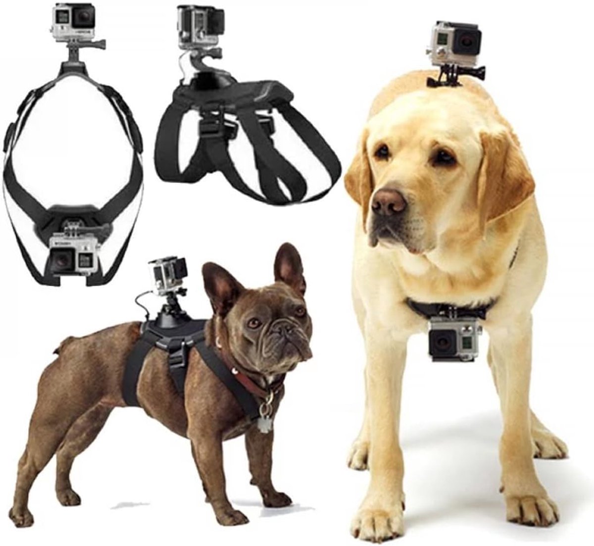 Hondenharnas voor Gopro, zacht en verstelbaar harnas voor grote, middelgrote en kleine honden, geschikt voor borst- en rugfixatie, compatibel met alle Gopro-modellen