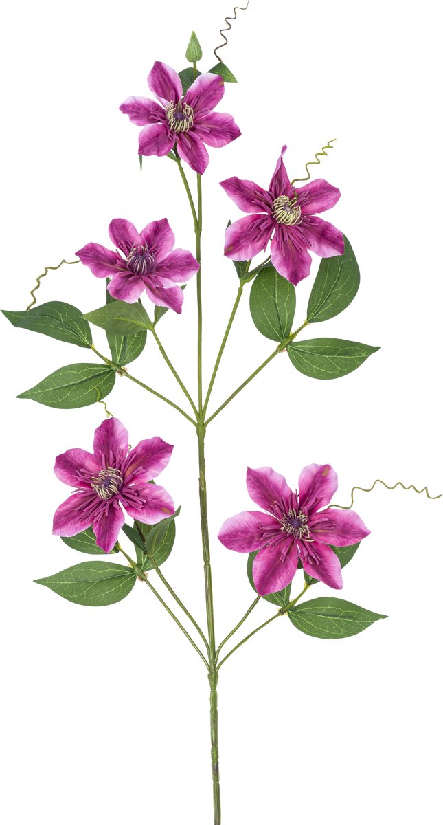 Easyplants | Kunstbloem Clematis dubbel 78 cm paars | Zijde | Nepbloemen | paars | Onderhoudsvrij | Kant-en-klaar
