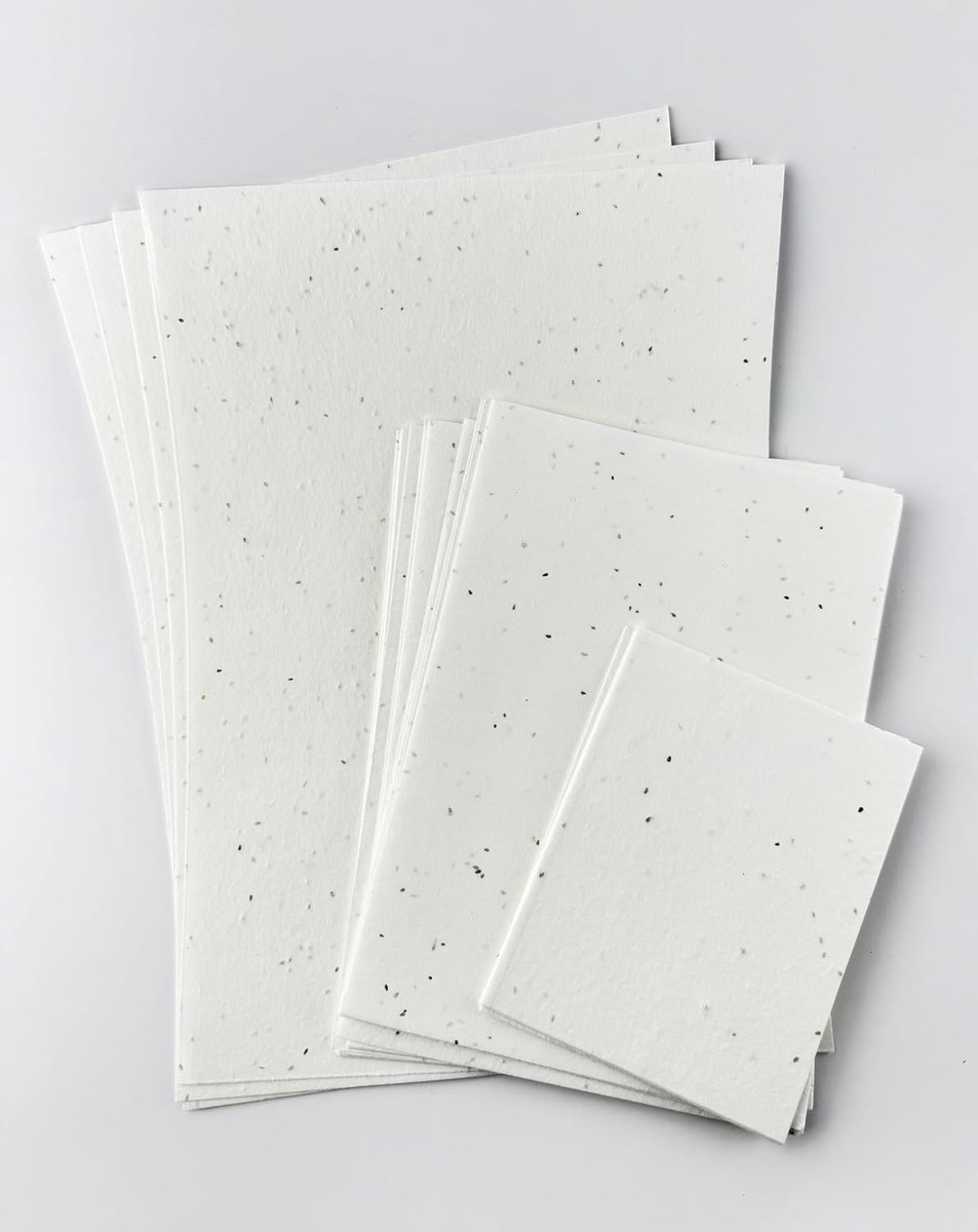 Papier met madeliefjes- of kamillezaden | Plantpapier 150 gsm en formaat 10x15 cm (A6) | Losse vellen plantpapier voor kaarten, brochures, menu's, uitnodigingen (25)'