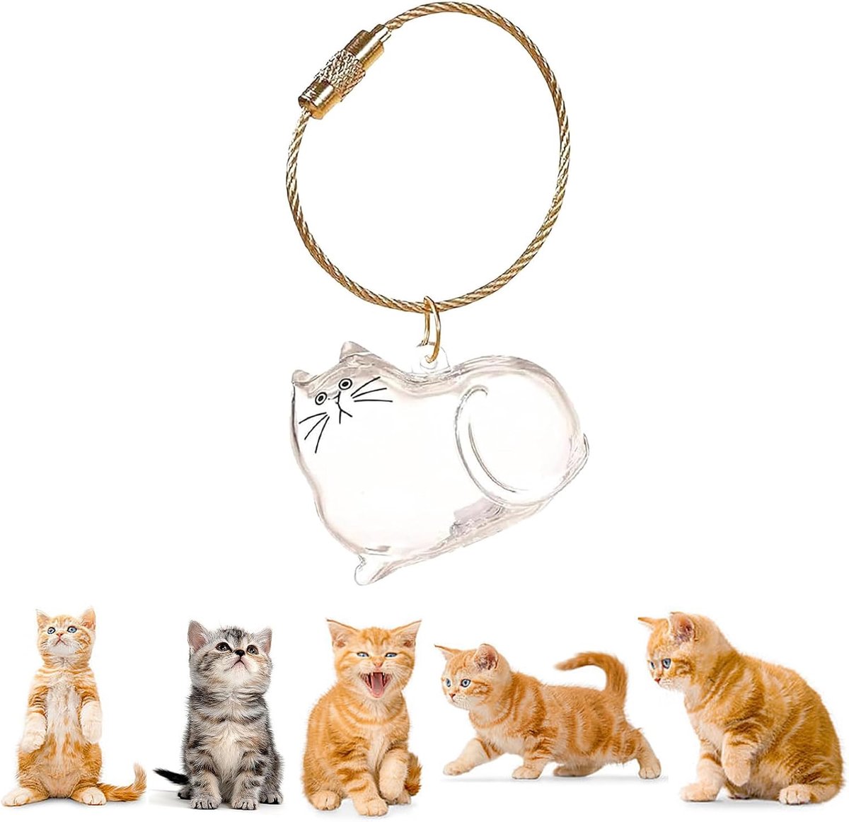 Kattenhaar, herinneringsdoos voor het verzamelen van dierenharen (A)
