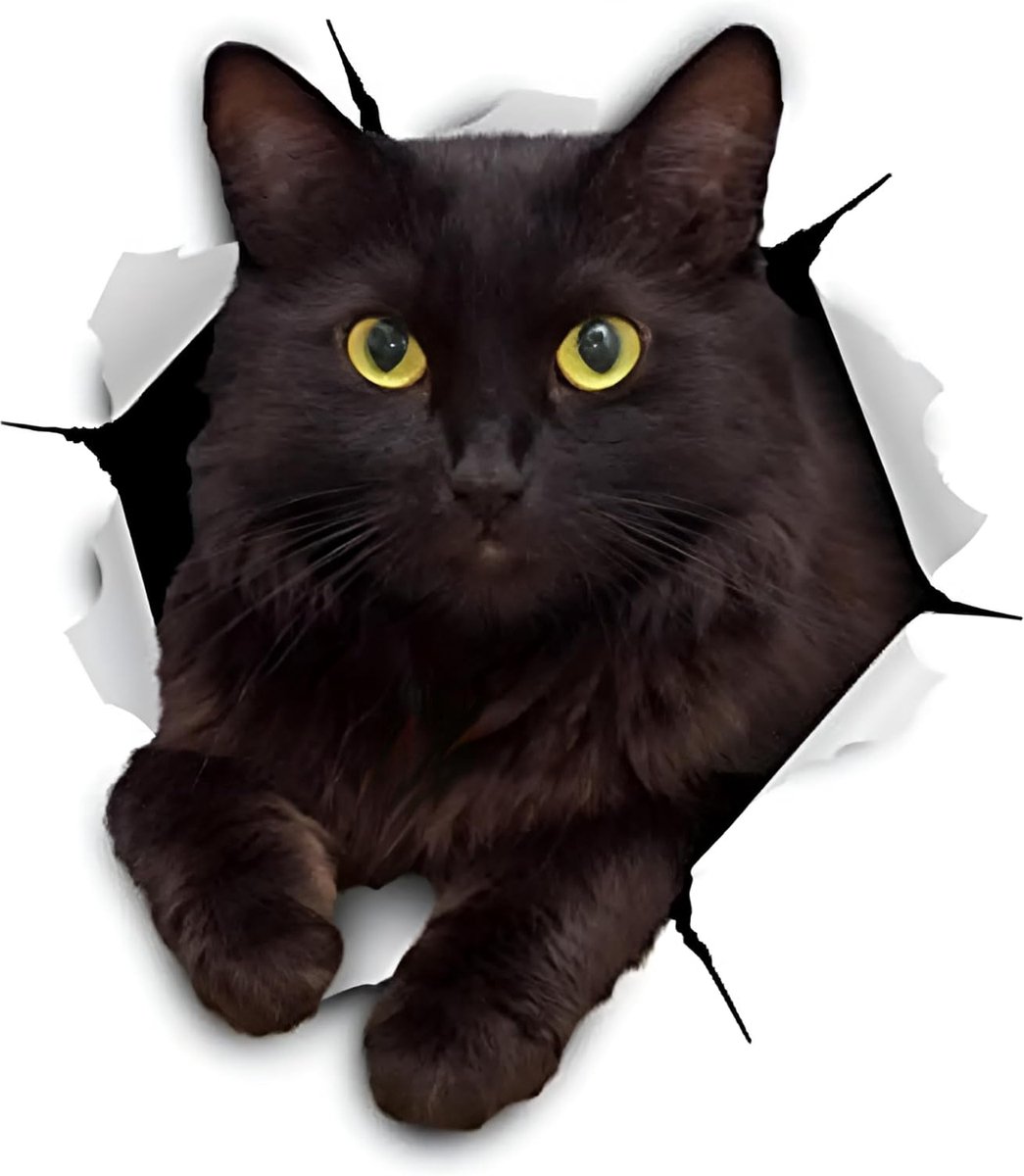 3D zwarte kattensticker, waterdichte autostickers, 10,82 cm zelfklevende bumperstickers voor voertuigen, laptops en koffers, set van 2