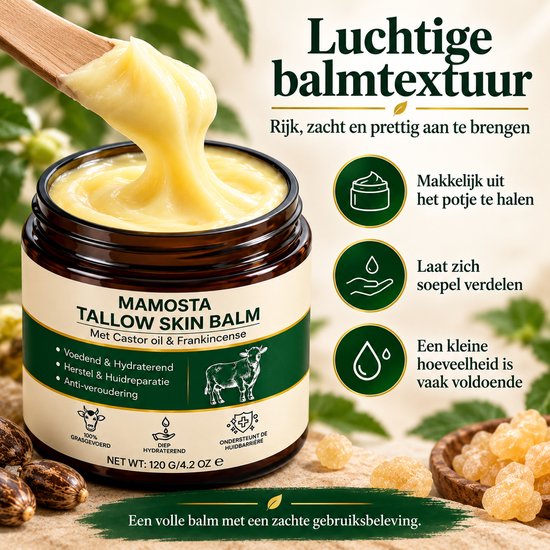 Hand schept romige gele Mamosta Tallow Skin Balm uit pot met houten lepel.