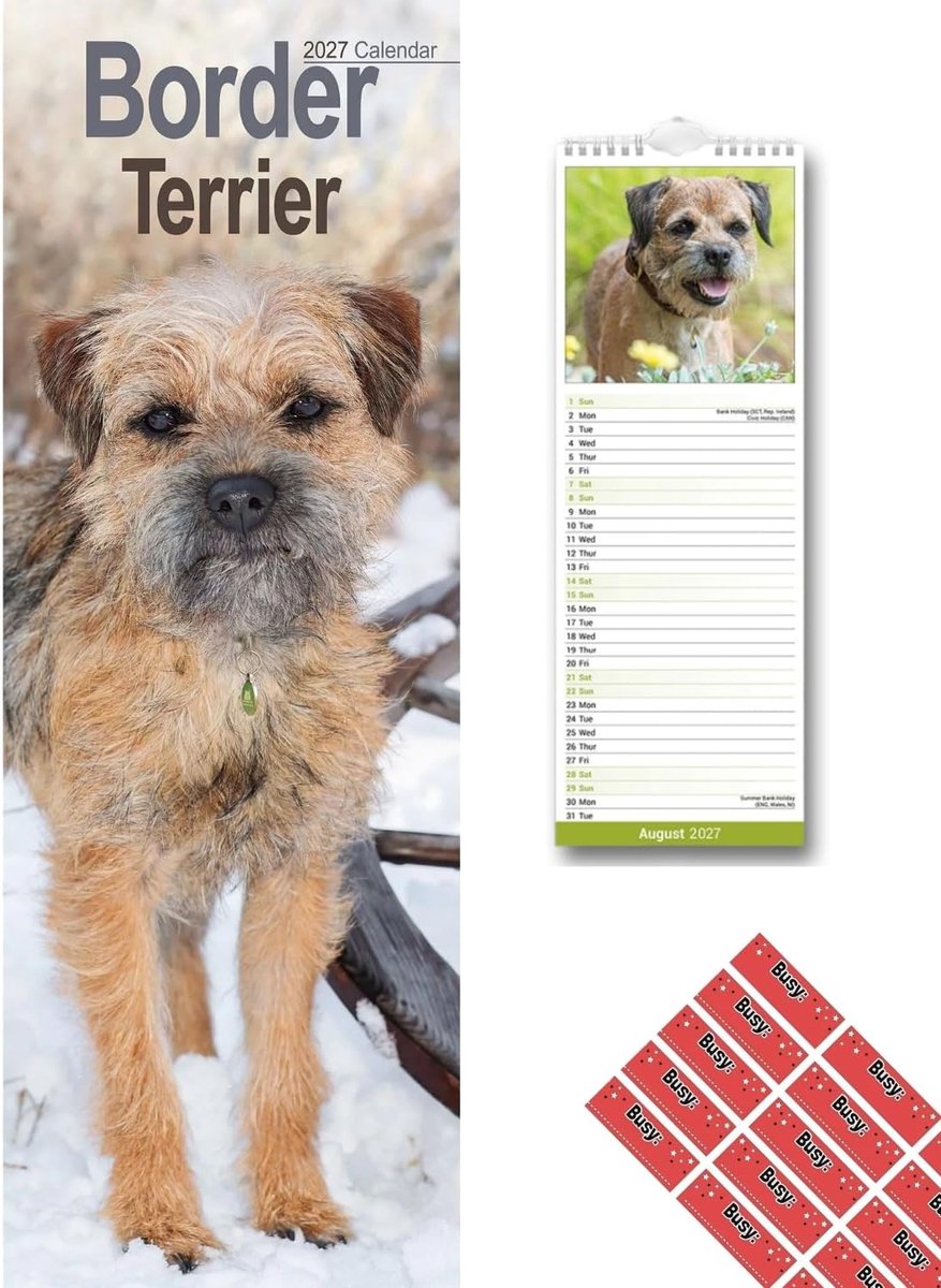 Border Terrier 2027 Slanke Kalender met Organisatie-stickers, 12 Maanden Wandplanner (Jan-Dec 2027), Thuis, Kantoor of Keuken voor Hondenliefdebbers, 15 x 42 cm