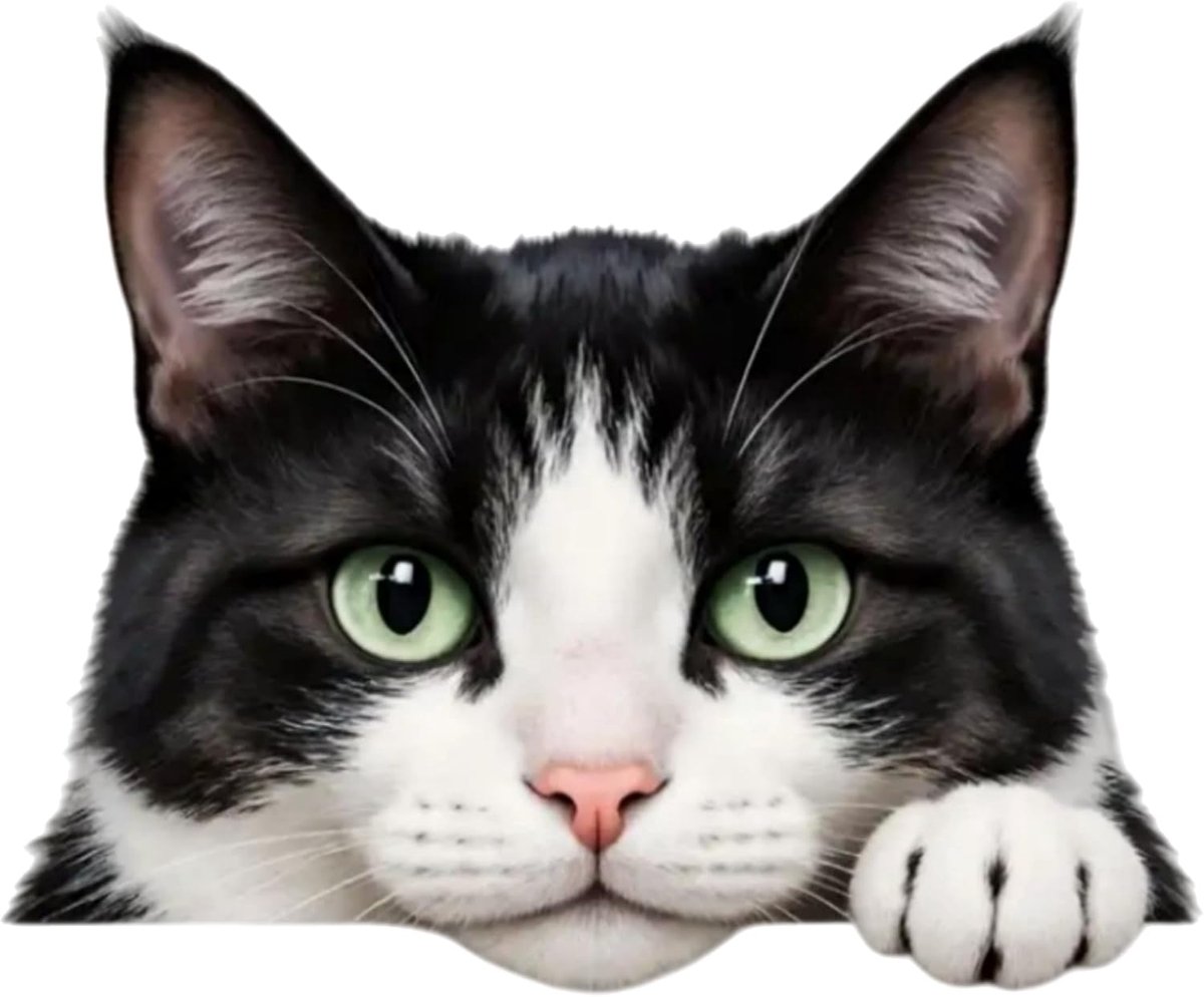 Zwarte en witte kattenstickers voor auto's, 14 cm, vinyl, waterdichte autostickers en bumperstickers voor voertuigen, koelkasten, muren, toiletten, verwijderbare autocarrosseriestickers, 2-delige set