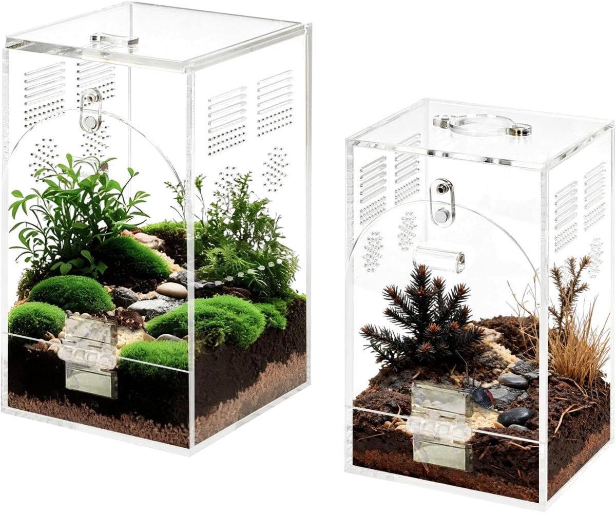 Springspinnen, acrylterrarium, reptielen, transportbox, transparante kweekbox voor vogelspin, insecten, hagedissen, schorpioenen, kevers, set 2, S (16 x 9 x 9 cm)