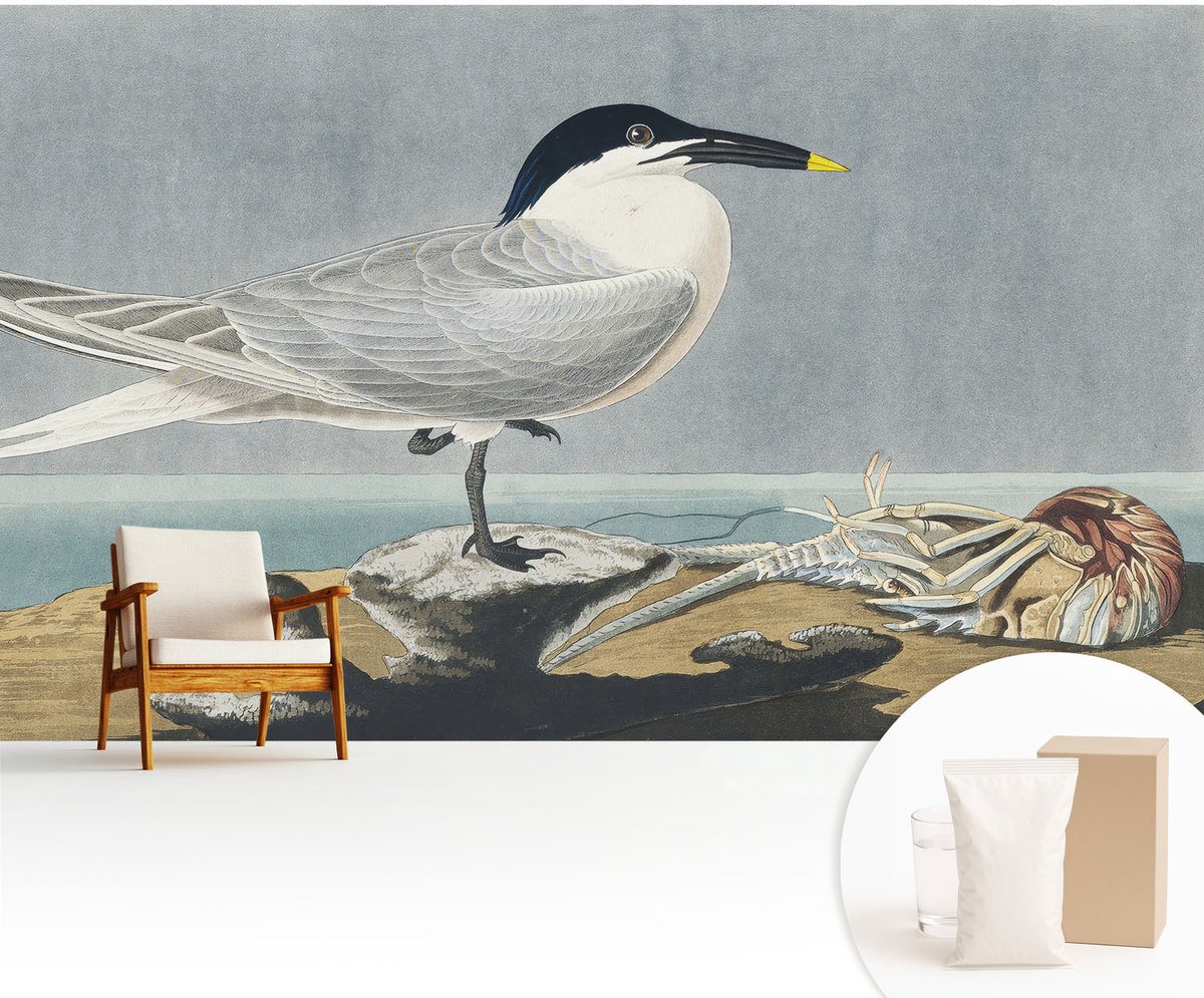 Wallfluent Fotobehang - Grijs Vliesbehang - 416x254 cm - Ornithologische Elegantie Muurschildering - Slaapkamer behang Dieren - Fotobehang Vlies - Slaapkamer behang