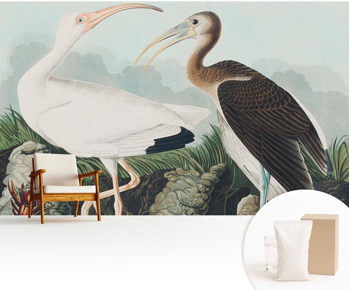 Wallfluent Fotobehang - Wit Vliesbehang - 416x254 cm - Vogelpaar Muurschildering - Slaapkamer behang Dieren - Fotobehang Vlies - Slaapkamer behang