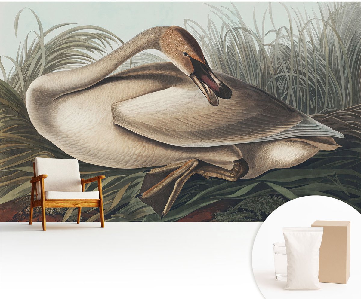 Wallfluent Fotobehang - Bruin Vliesbehang - 416x254 cm - Natuurlijke Vogel Fotobehang Vlies - Woonkamer behang Dieren - Muurschildering - Hal behang