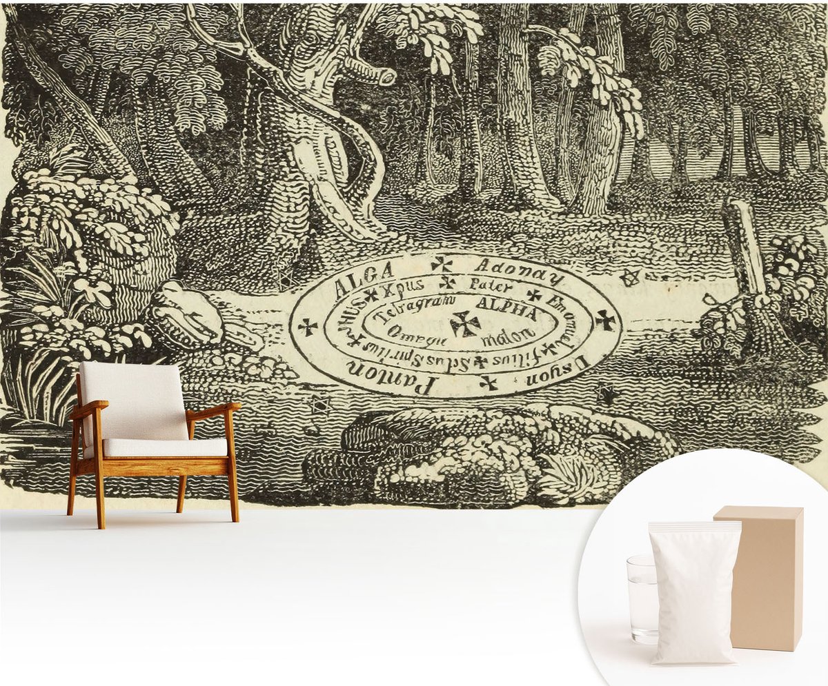 Wallfluent Fotobehang - Zwart-Wit Vliesbehang - 416x254 cm - Magische Cirkel Muurschildering - Slaapkamer behang Bloemen En Planten - Fotobehang Vlies - Slaapkamer behang