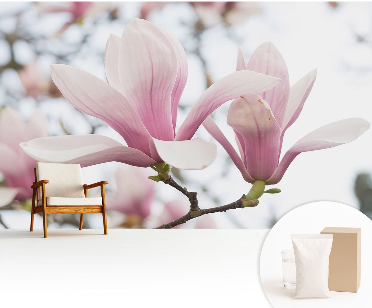 Wallfluent Fotobehang - Roze Vliesbehang - 416x254 cm - Magnolia Bloemen Fotobehang Vlies - Woonkamer behang Bloemen En Planten - Muurschildering - Hal behang