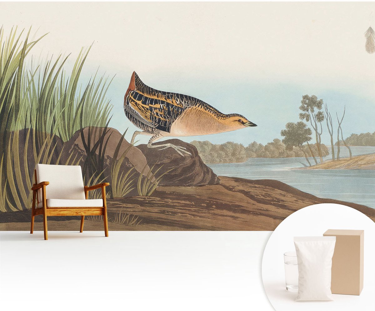Wallfluent Fotobehang - Groente Vliesbehang - 416x254 cm - Natuurlijke Scène Muurschildering - Slaapkamer behang Dieren - Fotobehang Vlies - Slaapkamer behang