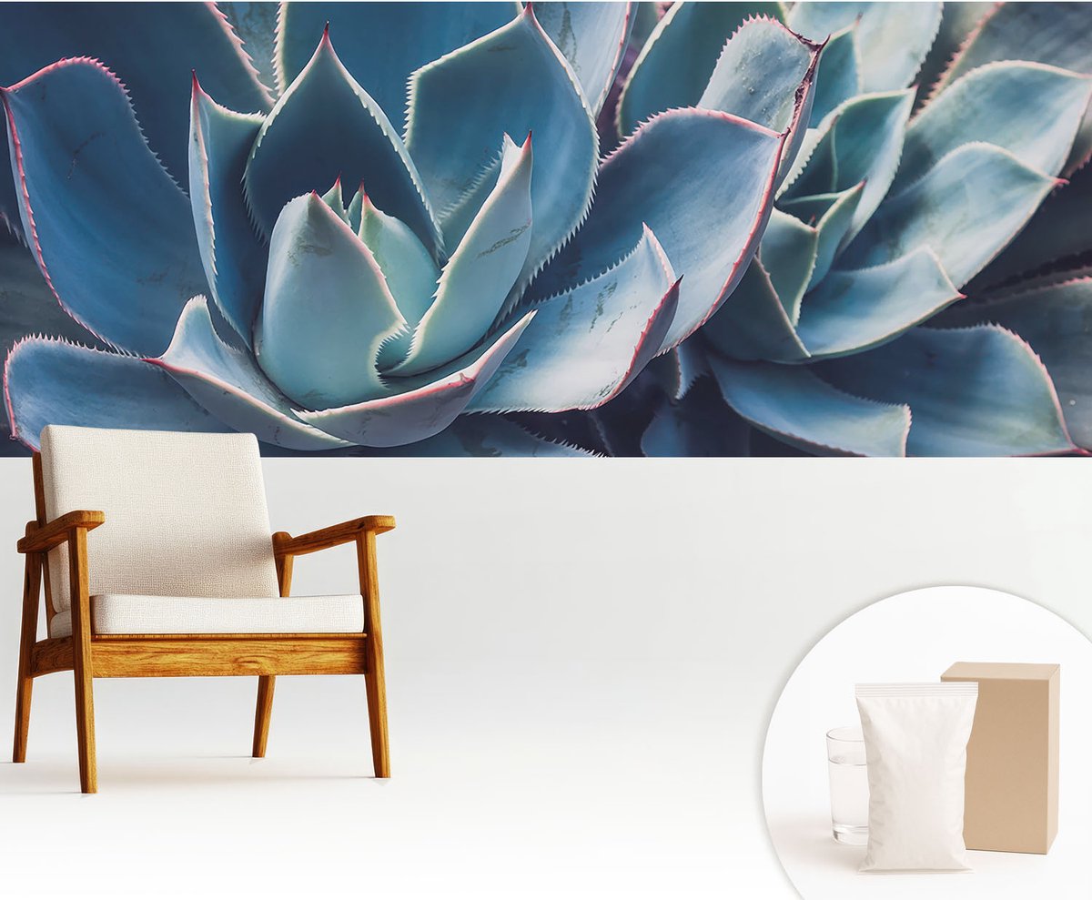 Wallfluent Fotobehang - Blauw Vliesbehang - 250x104 cm - Groene Aloë Muurschildering - Gang behang Bloemen En Planten - Fotobehang Vlies - Slaapkamer behang
