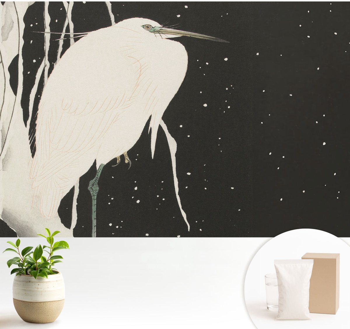 Wallfluent Fotobehang - Wit Vliesbehang - 104x70 cm - Wintervogel Fotobehang Vlies - Woonkamer behang Dieren - Muurschildering - Woonkamer behang