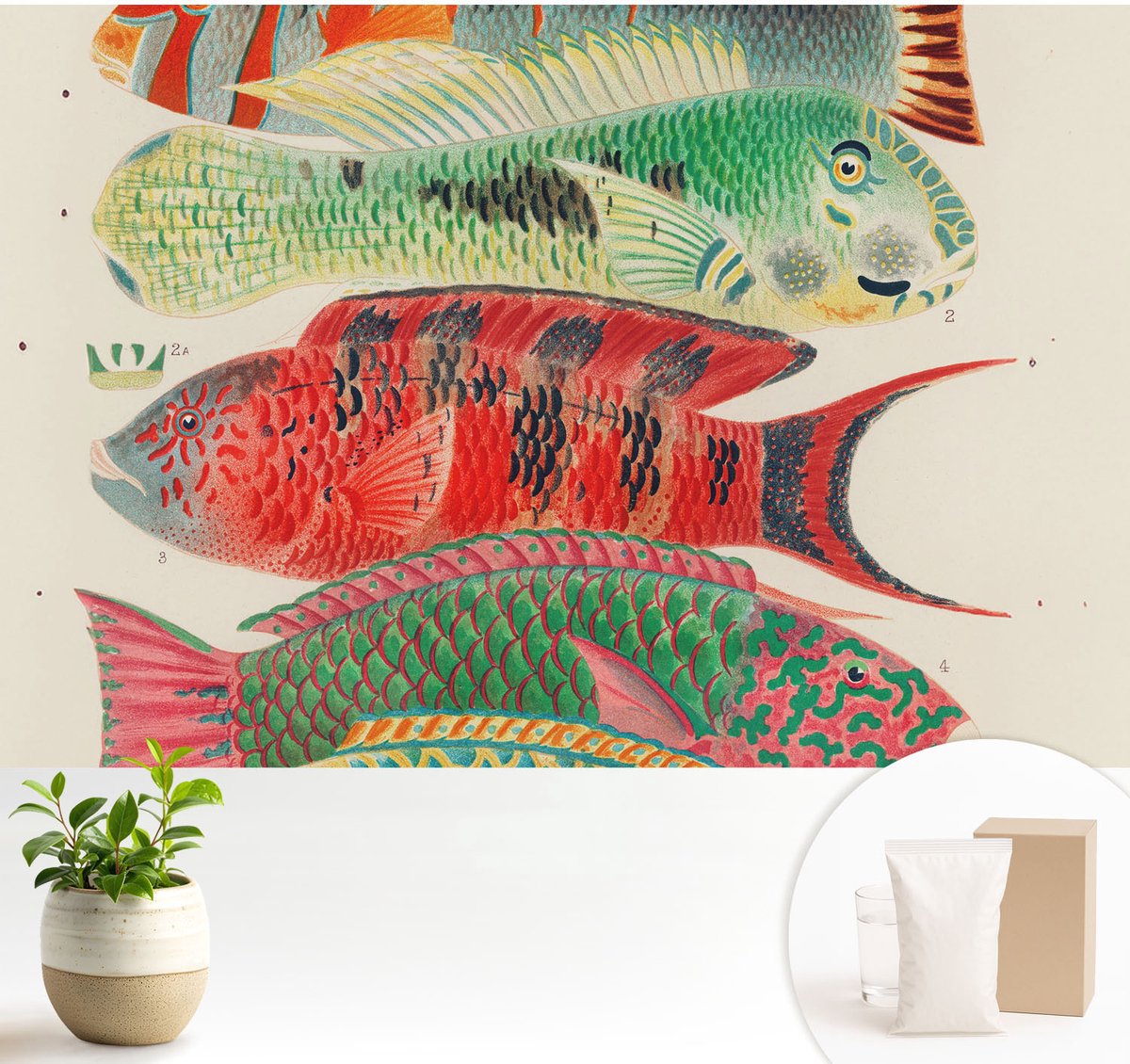Wallfluent Fotobehang - Groente Vliesbehang - 104x70 cm - Exotische Vissen Muurschildering - Gang behang Dieren - Fotobehang Vlies - Gang behang
