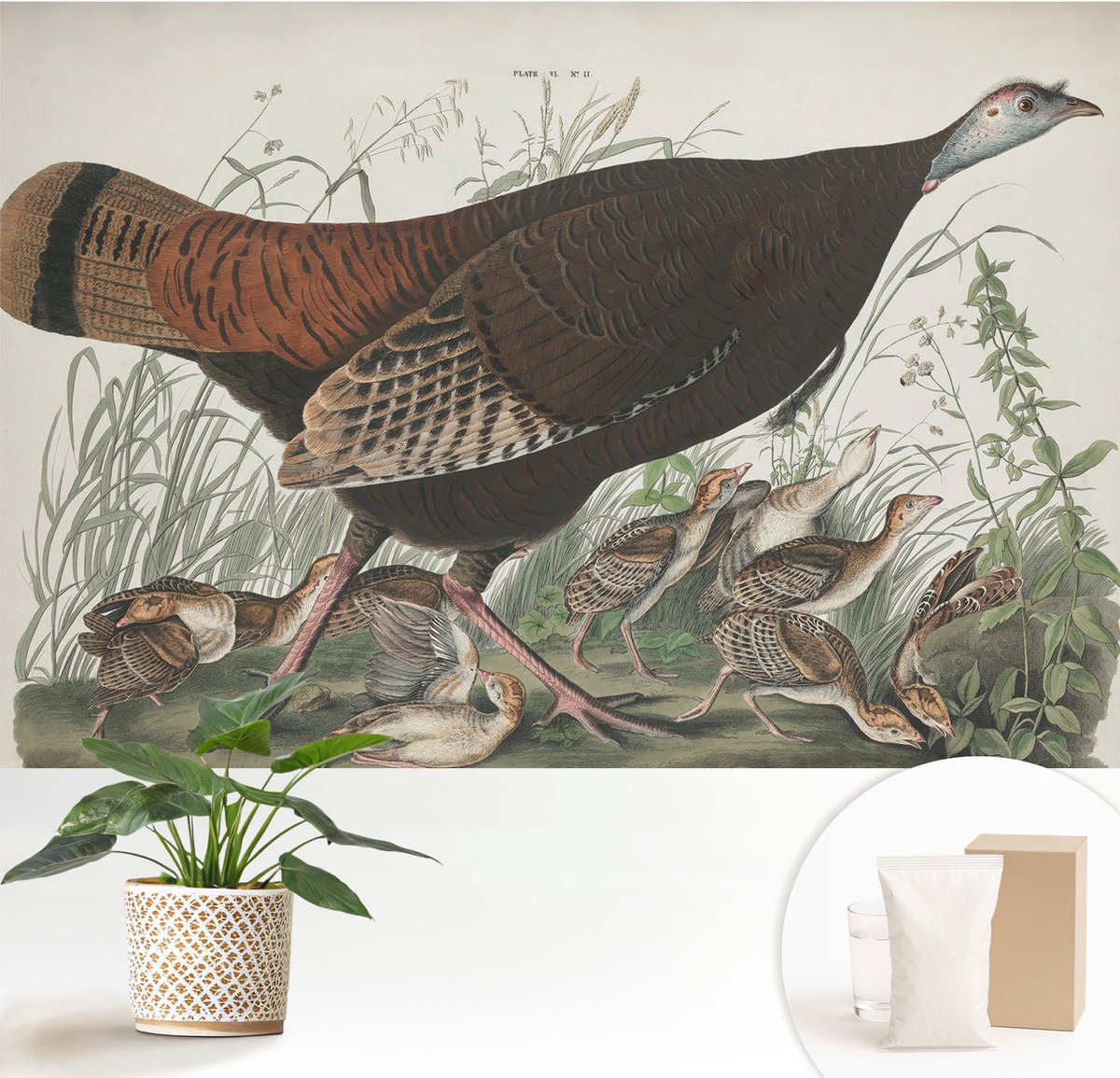 Wallfluent Fotobehang - Bruin Vliesbehang - 152x104 cm - Natuurlijke Harmonie Muurschildering - Slaapkamer behang Dieren - Fotobehang Vlies - Gang behang