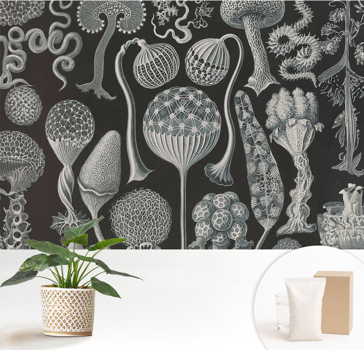 Wallfluent Fotobehang - Zwart Vliesbehang - 152x104 cm - Magische Planten Fotobehang Vlies - Woonkamer behang Deel - Muurschildering - Woonkamer behang