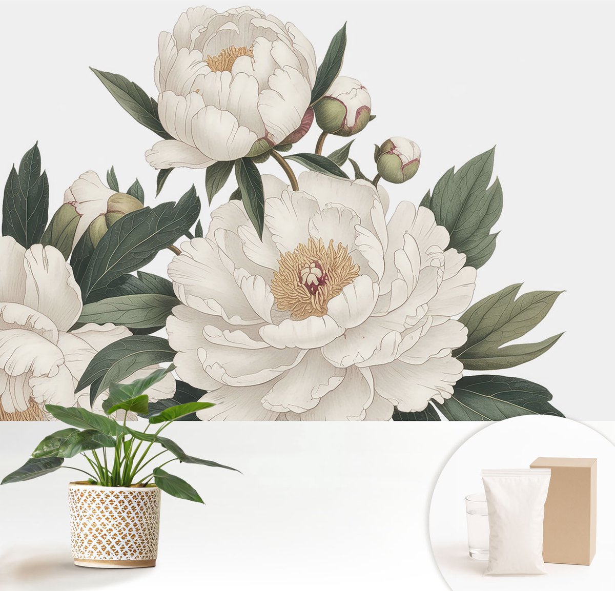 Wallfluent Fotobehang - Wit Vliesbehang - 152x104 cm - Witte Pioenrozen Fotobehang Vlies - Hal behang Bloemen En Planten - Muurschildering - Woonkamer behang