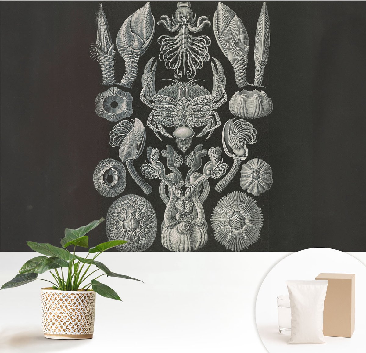 Wallfluent Fotobehang - Zwart Vliesbehang - 152x104 cm - Onderwatervormen Muurschildering - Gang behang Abstractie - Fotobehang Vlies - Gang behang