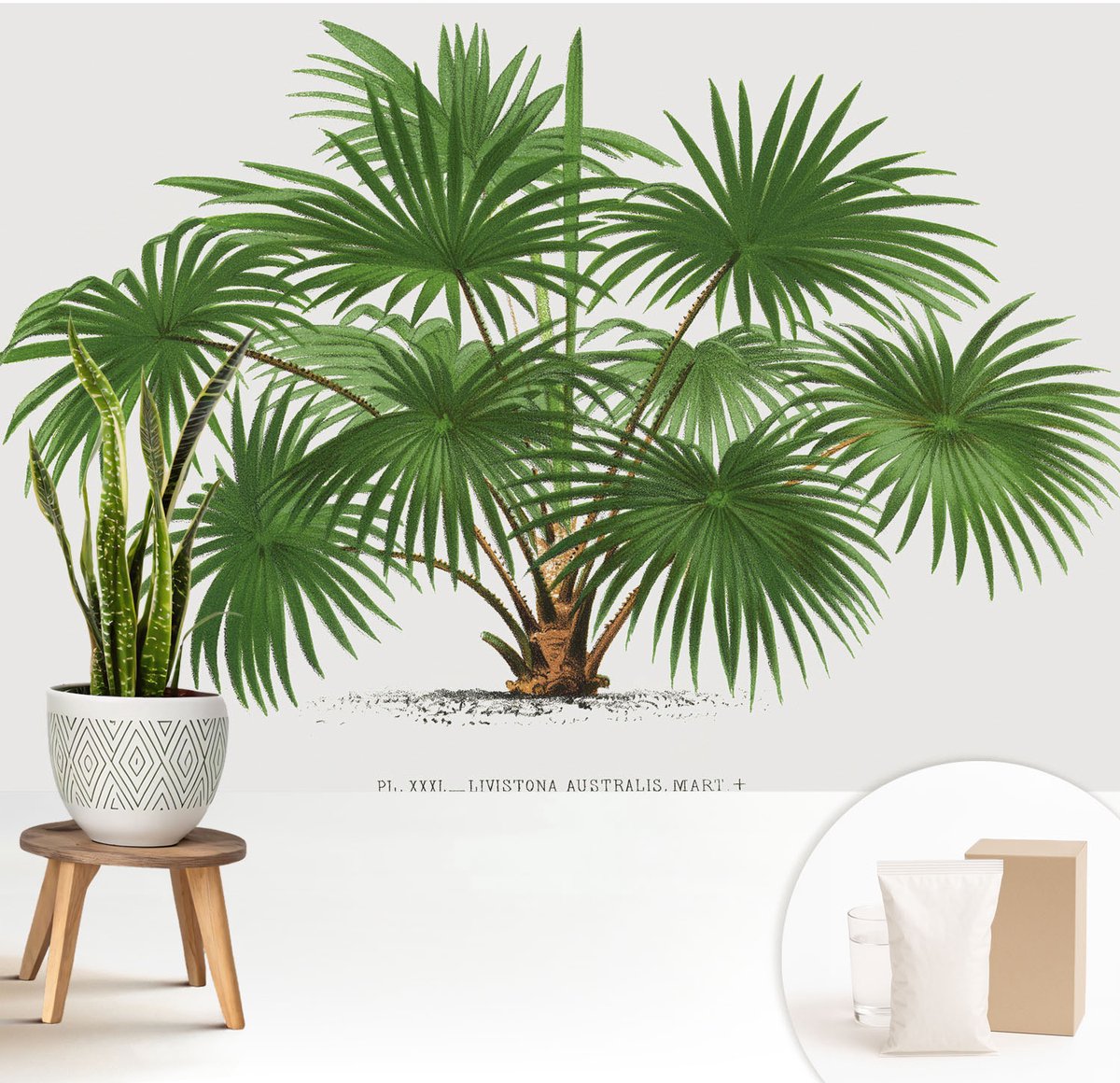 Wallfluent Fotobehang - Groente Vliesbehang - 208x146 cm - Exotisch Patroon Muurschildering - Gang behang Bloemen En Planten - Fotobehang Vlies - Slaapkamer behang