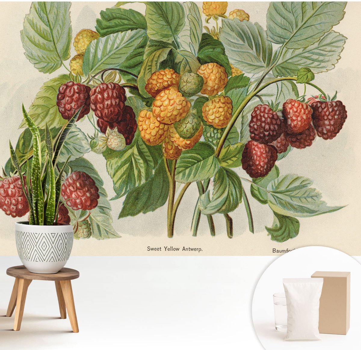 Wallfluent Fotobehang - Groente Vliesbehang - 208x146 cm - Klassieke Frambozen Fotobehang Vlies - Hal behang Bloemen En Planten - Muurschildering - Woonkamer behang