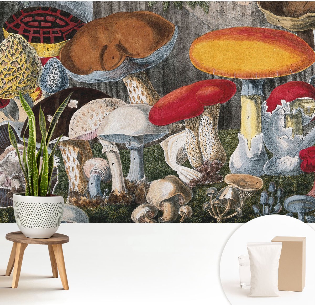 Wallfluent Fotobehang - Bruin Vliesbehang - 208x146 cm - Botanische Paddenstoelen Muurschildering - Slaapkamer behang Deel - Fotobehang Vlies - Gang behang