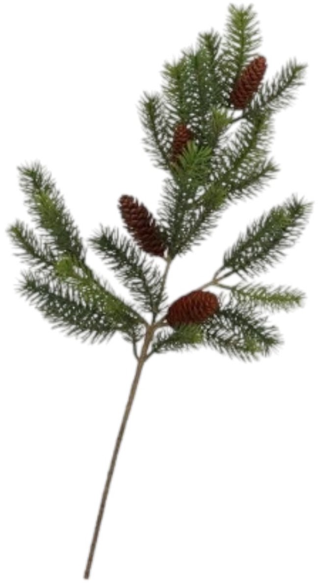 Daan Kromhout - Dennentak - Met Dennenappels - Groen - Kunsttak - 64cm - Kerst