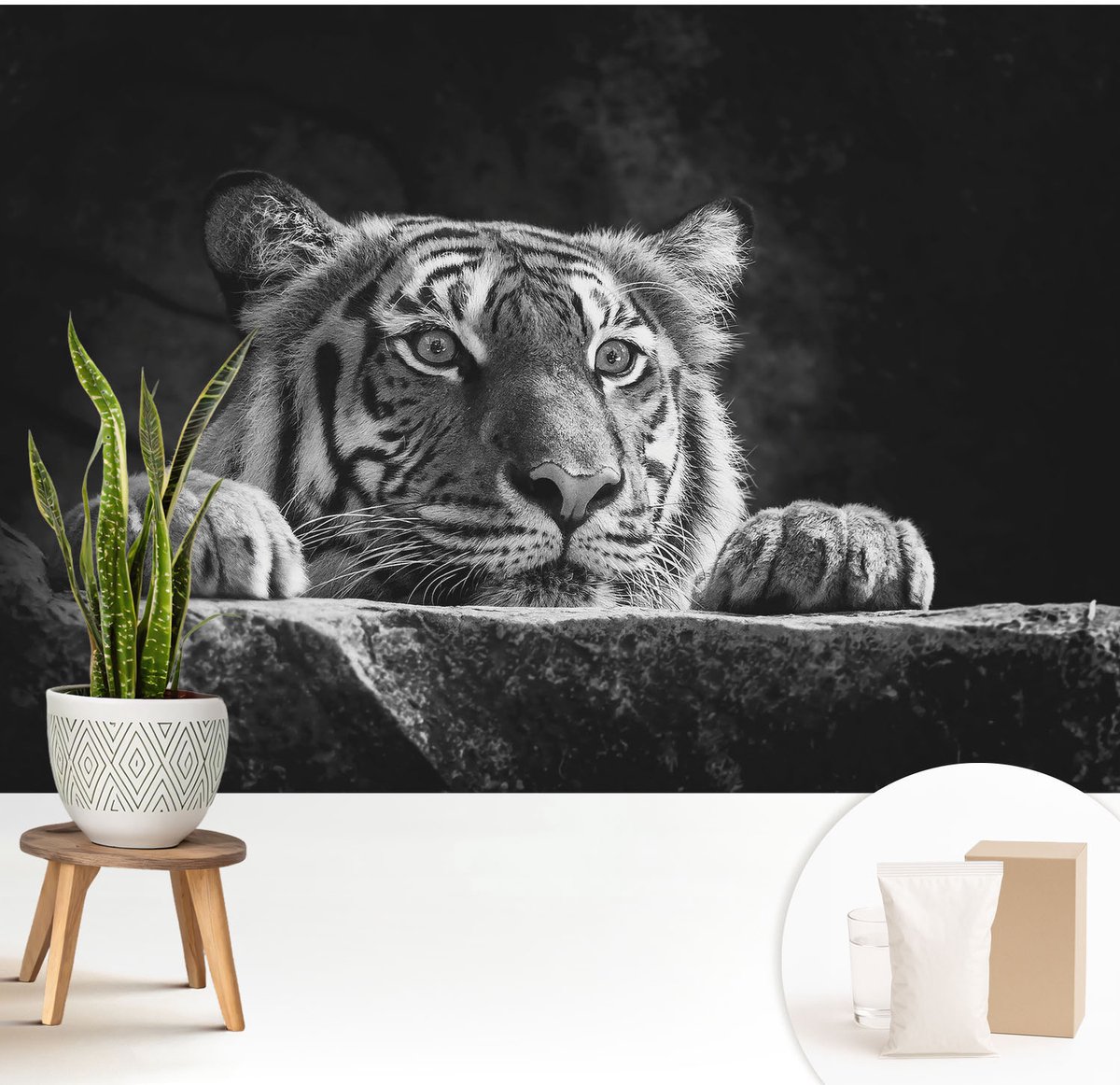Wallfluent Fotobehang - Zwart-Wit Vliesbehang - 208x146 cm - Roofzuchtige Blik Fotobehang Vlies - Hal behang Dieren - Muurschildering - Woonkamer behang