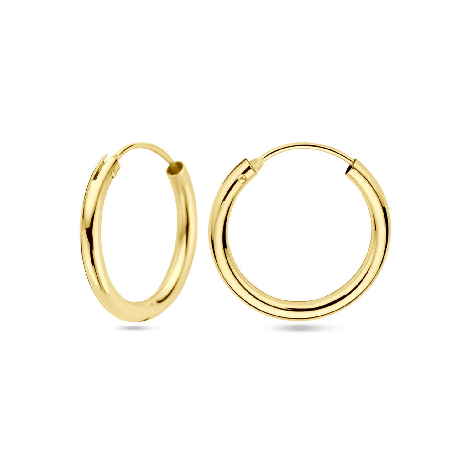 Gouden oorbellen 4018327