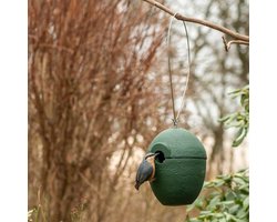 CJ Wildlife Nestkast - Aanbevolen door de Vogelbescherming Nederland - Malaga - 32mm - Nestkastje voor o.a. Koolmees, Boomklevers & Mussen - Woodstone Vogelhuisje - FSC-gecertificeerd - Groen