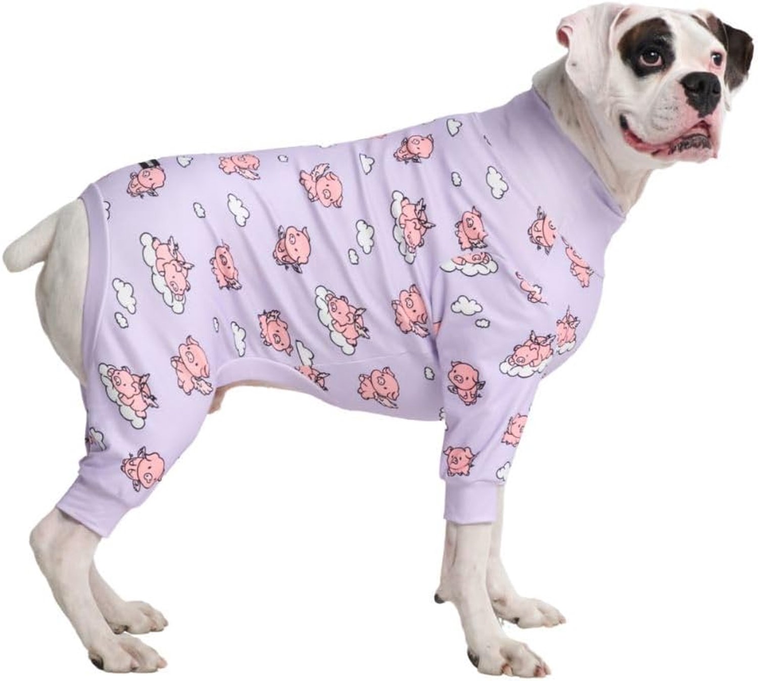 Hondenherstelpak voor mannen, onesie, ultrazacht en 4-wegs stretch, voor kleine, middelgrote en grote rassen - wanneer varkens vliegen - paars - 3XL