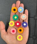 Een hand houdt 10 kleurrijke bloemvormige magneten vast: geel, blauw, groen, roze, rood, paars, oranje.