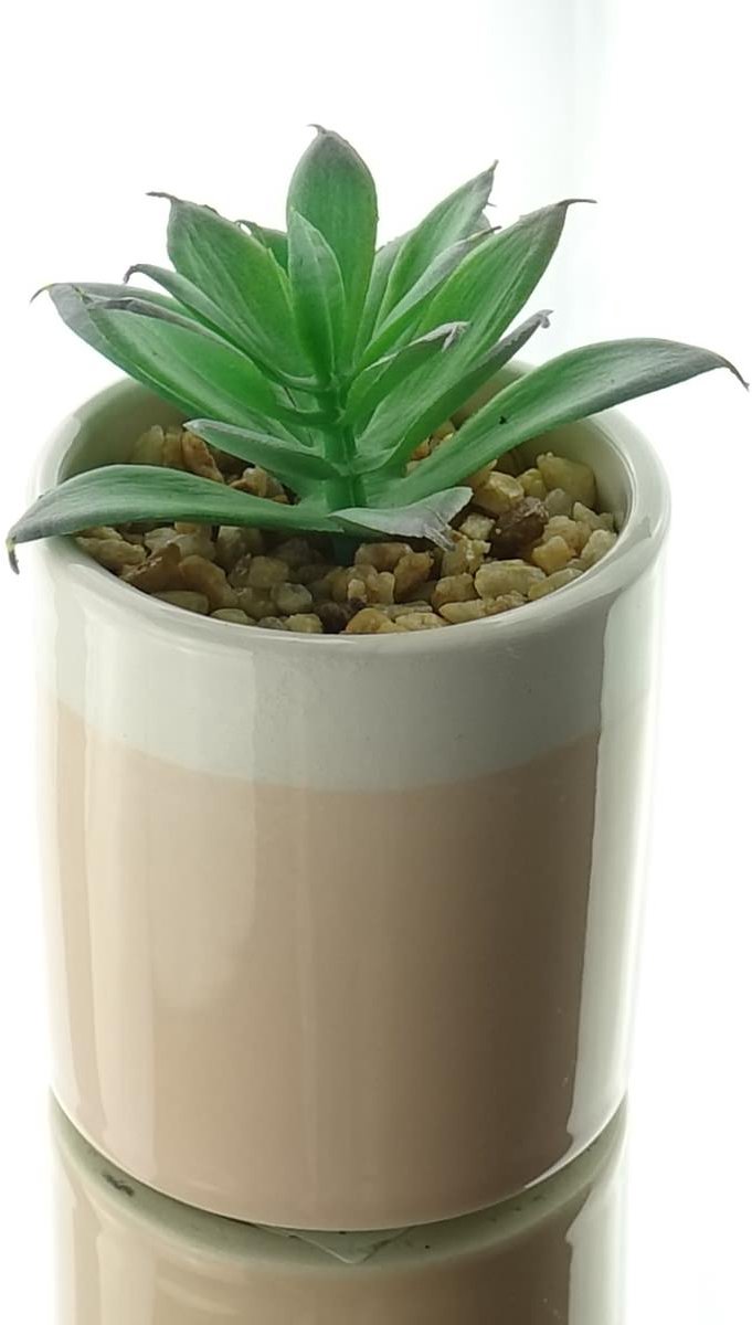 Kaemingk mini-succulent beige stenen pot hoogte 10 cm - kunstplanten