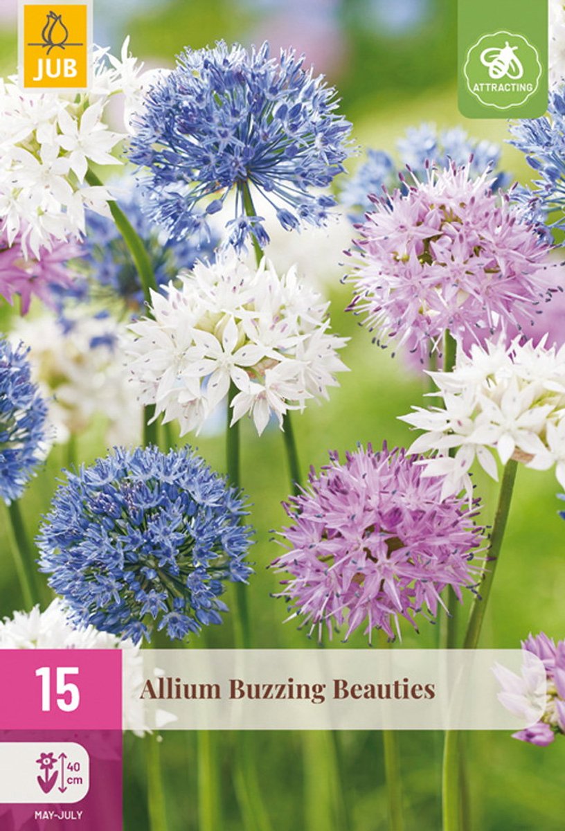 Allium Buzzing Beauties bloembol JUB 15 stuks