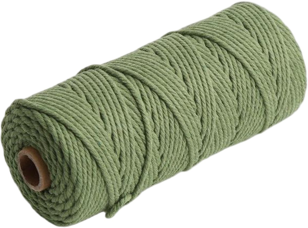 Macramétouw 3 mm x 100 m, natuurlijk katoenen draad voor wanddecoratie, plantenhangers, boho-decoratie,Avocado Groen