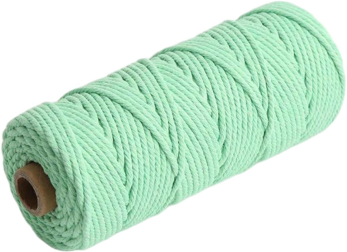 Macramétouw 3 mm x 100 m, natuurlijk katoenen draad voor wanddecoratie, plantenhangers, boho-decoratie,Watergroen